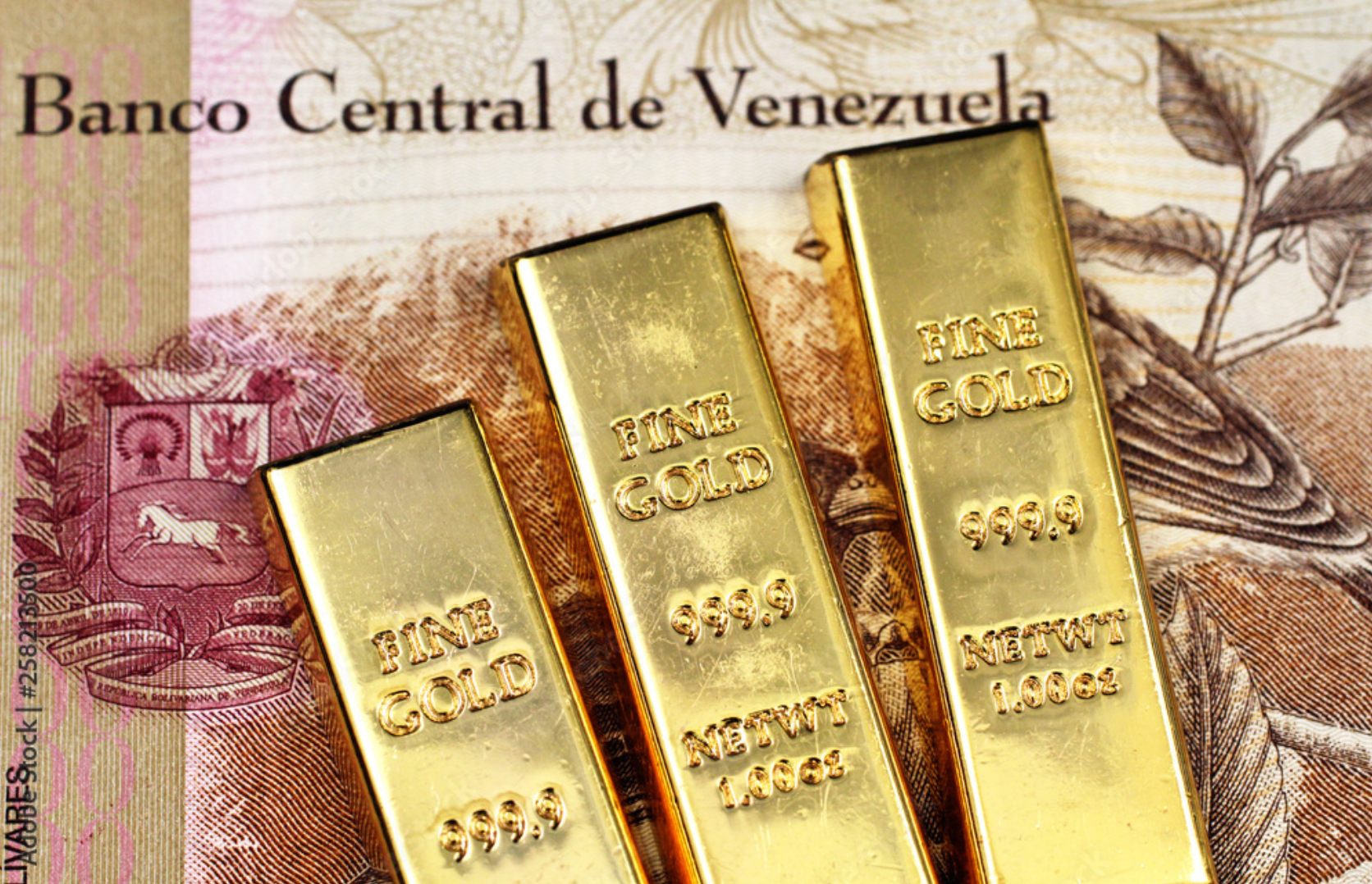 Venezuelan Illegal Mineral Extraction: State Compliance and Parallel Criminal Governance Systems